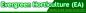 Evergreen Horticulture E.A. Ltd logo